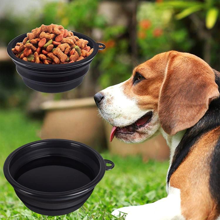 Boluri Pliabile Apă & Mâncare pentru Câini/Pisici, Silicon, Set cu Carabinieră – Fish & Paws