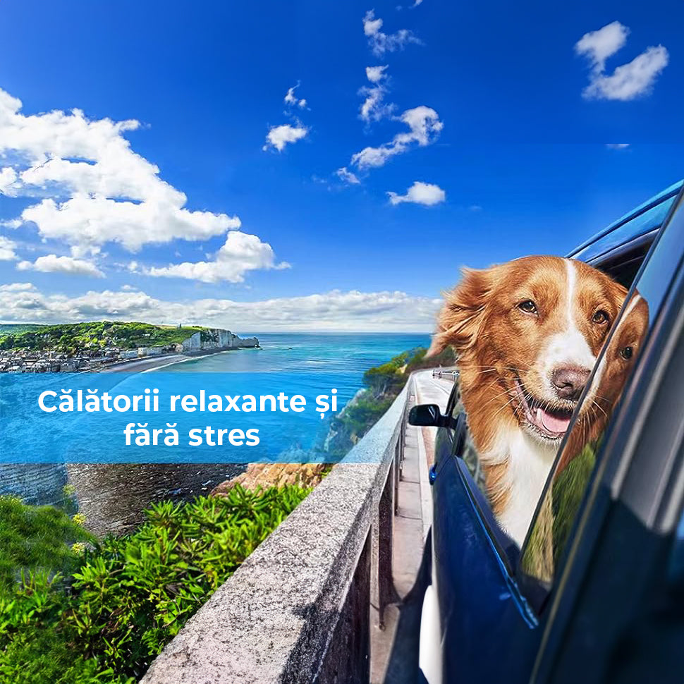 Husă Auto Protecție Bancheta Spate pentru Câini/Pisici, Impermeabilă, cu Fereastră Plasă, 137x147cm, Neagră