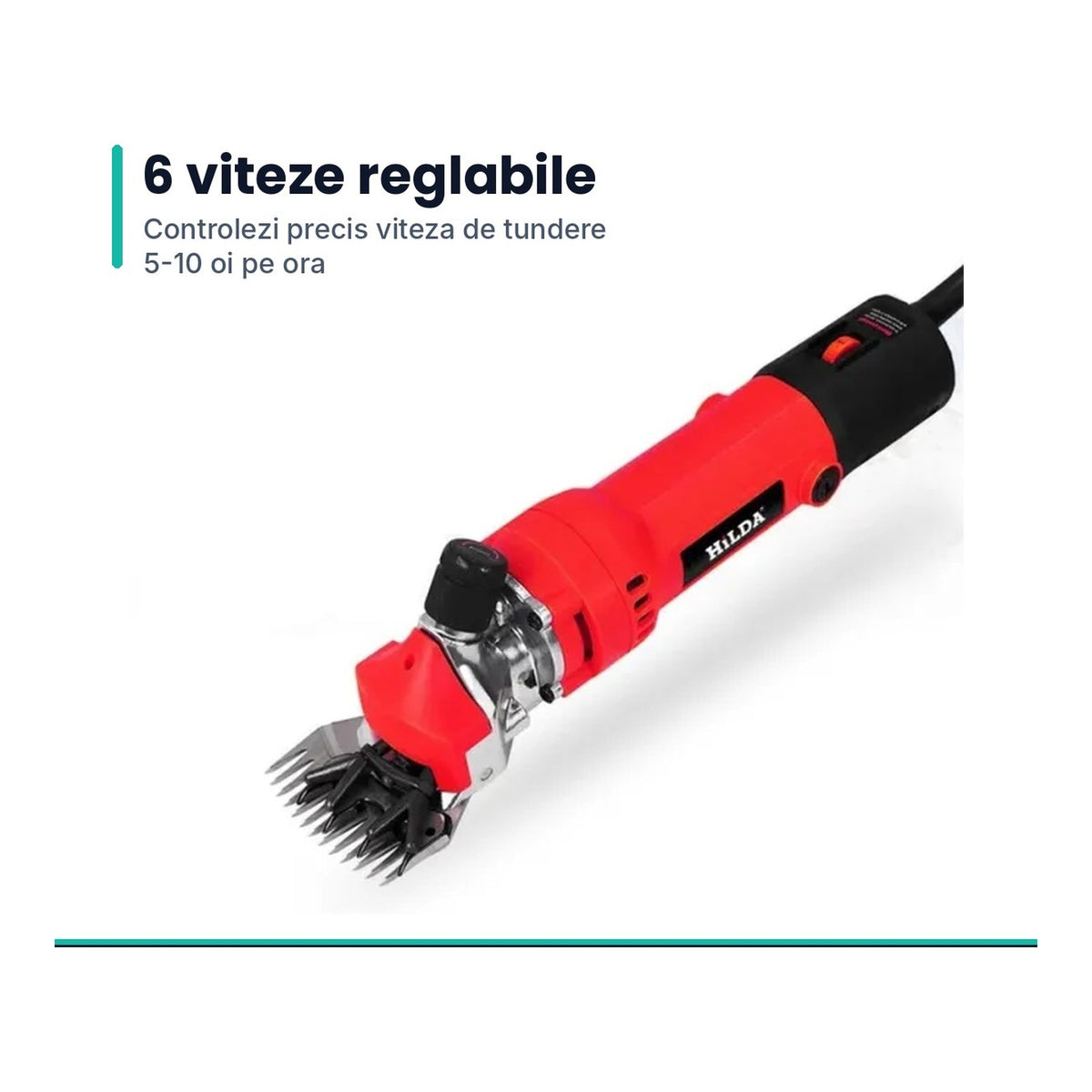 Masina electrica de tuns oi, 6 viteze reglabile, 5-10 oi pe ora