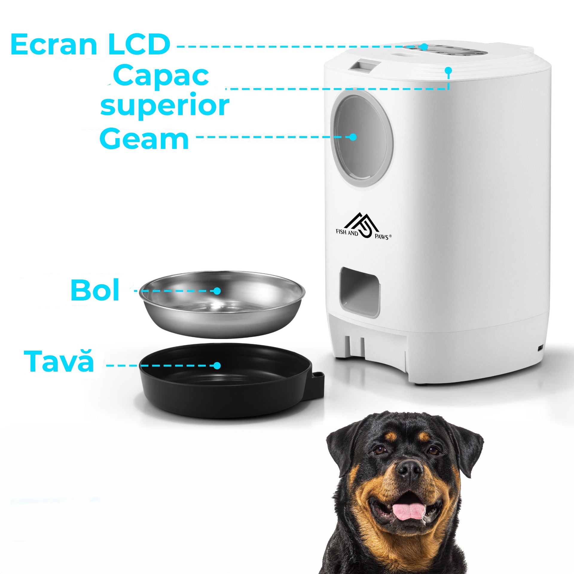 Hrănitor Automat Câini/Pisici cu Mesaj Vocal, Program Mese, 4.5L, Alb – Fish & Paws